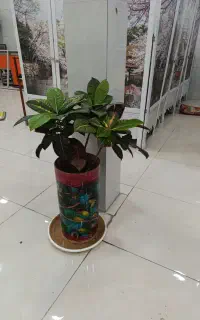 گل،