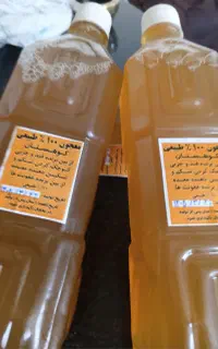 معجون لاغری صدر صد طبیعی کوهستان