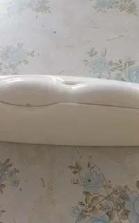 بندرخت دیواری