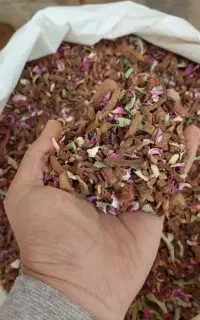 چای و دمنوش میوه ای