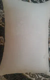 پشتی