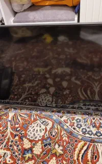 تلوزیون