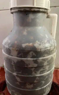 خرما مضافتی