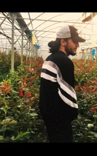 نیروی متعهدو کاری برای در مجموعه گلخانه ای گل رز