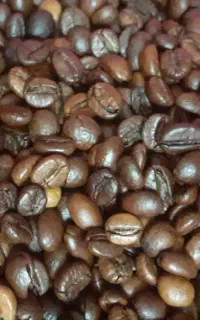 عمده و خرده فروشی قهوه