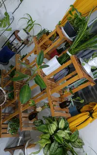 استند چوبی برای گل