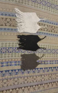 نیم تنه وکلاه