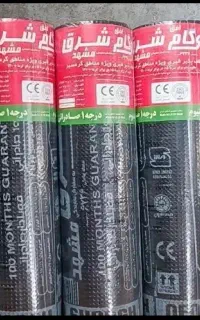 «ایزوگام»