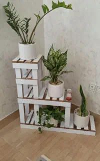 شلف گلدان