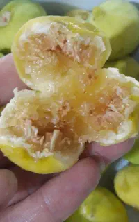 انجیر شیرین