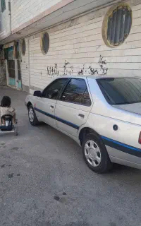 پژوه 405