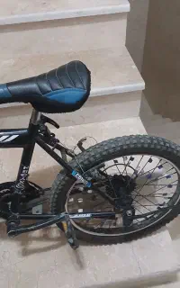 دوچرخه ۲۰ مدل ویوا