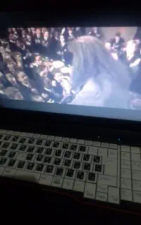 لب تاب فوجیتسو