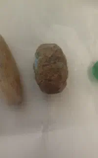مهره های باستانی