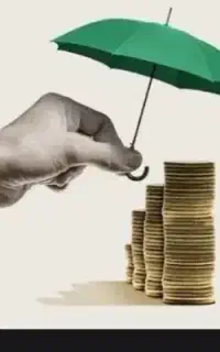 ویزنی