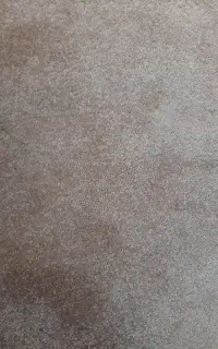 موکت پالاز