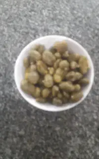 لگجی برای فروش