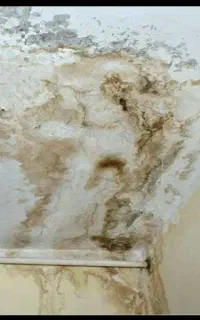 نشتیاب با دستگاه  رفع نم بدون خرابی با عایق نانو