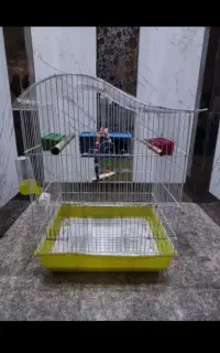 قفس