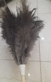 گردگیر عمده