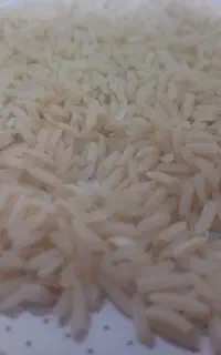 فروش برنج طارم هاشمی