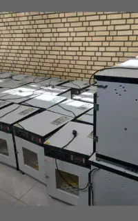 دستگاه جوجه کشی-پرنــدگان زیـنتیـtaq۰۰