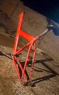تنه دوچرخه 24