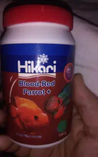 غذای ماهی هیلکاری. گوشتخوار