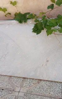 سنک اوپن