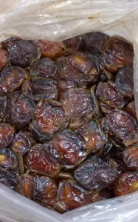 خرما برحی