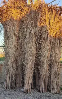 فروش سته ودرخونه وحصیر