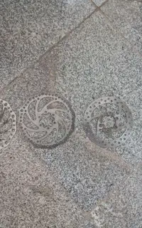 دیسکه چرخ