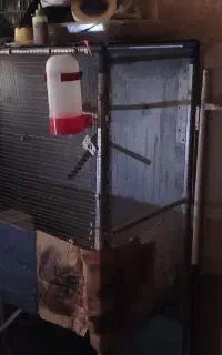 قفس دست ساز طوطی ملنگو به همراه لانه
