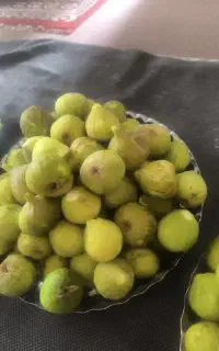 انجیر تازه چین