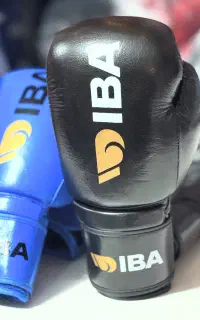دسکش بوکس