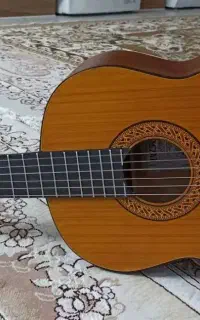 گیتار کلاسیک حرفه‌ای