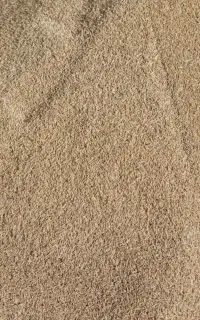فروش جو محلی
