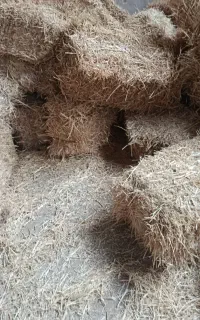 پرس کلش