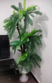 درختچه