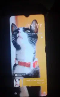 به علت پول لازم به فروش می‌رسد