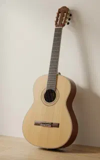 گیتار کاملا سالم و نو