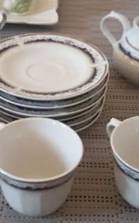 ظرف پذیرایی