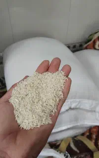 برنج طارم هاشمی