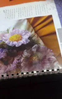 گم شده ها
