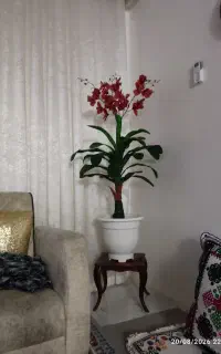 گلدان با درختچه مصنوعی شیک و دو عدد طبیعی