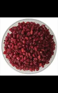 فروش زرشک