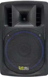 اکو همراه۱۲ اینچ برین صوت