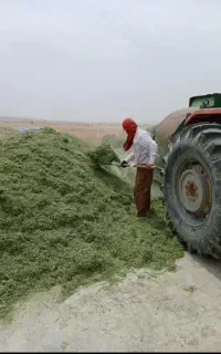 کاه یونجه پرس ۱متری بارگیری خرمن کوبی بصورت روزانه