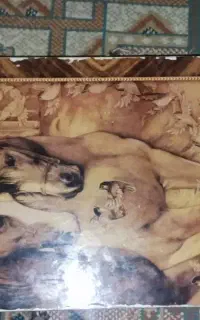 تخته نرد