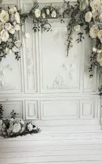 پرده عکاسی